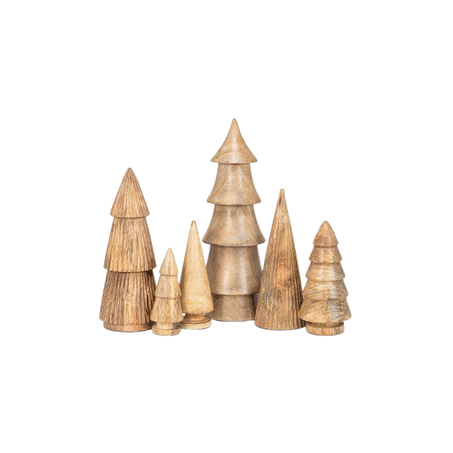 Ridged Cone Tree - Medium