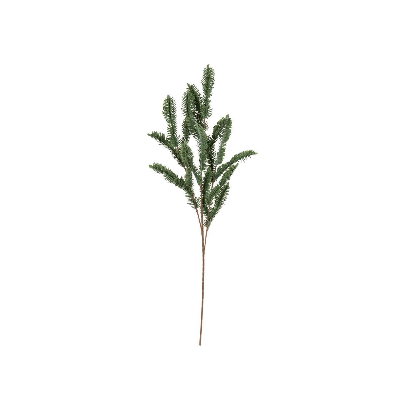 Pine Sprig