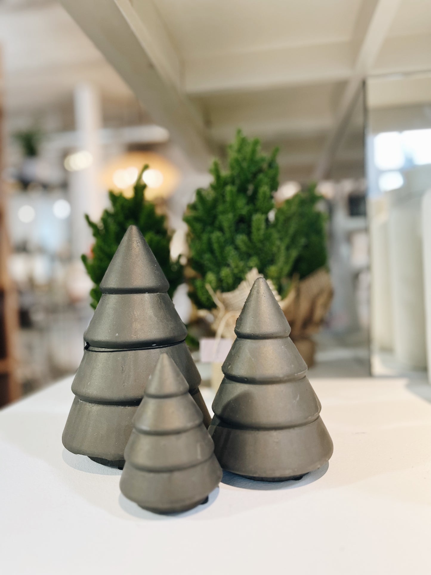Brynxz - Three Piece Tree Set