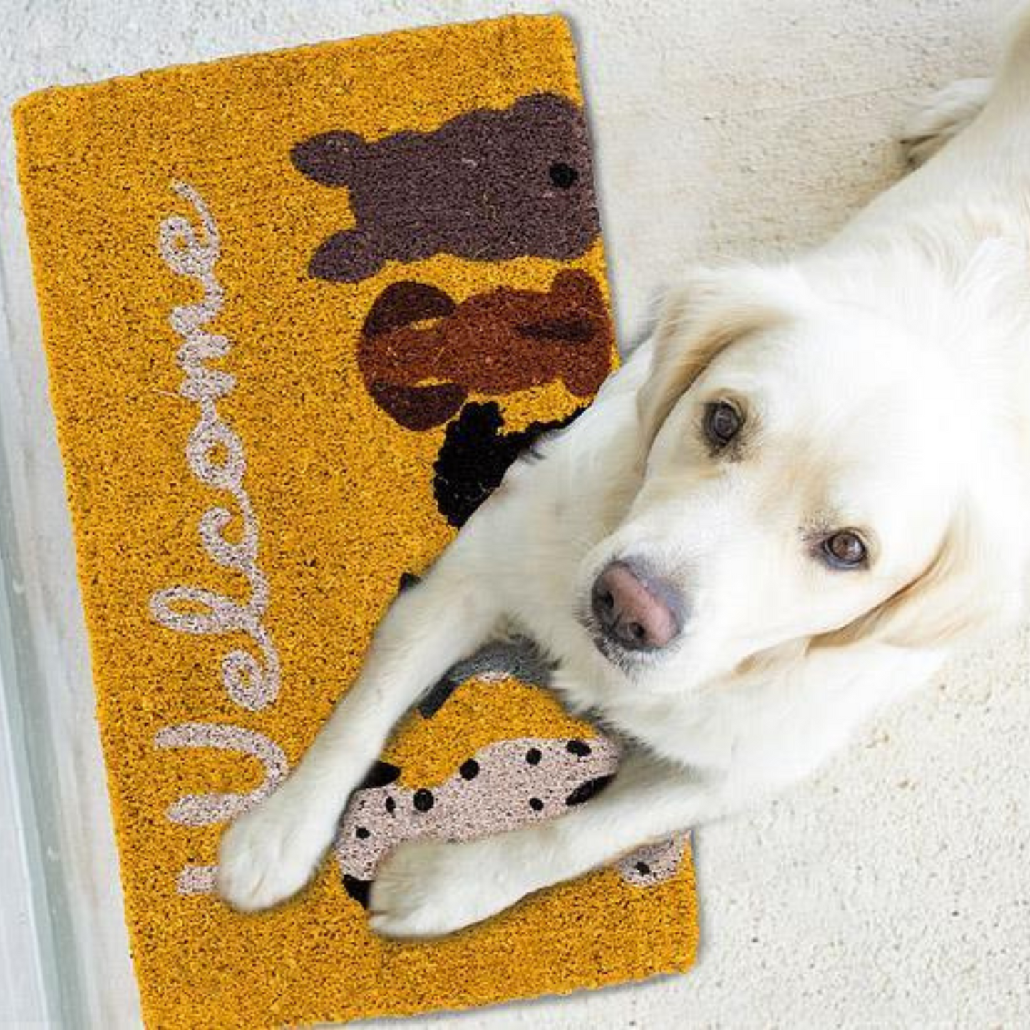 Dog Welcome Mat