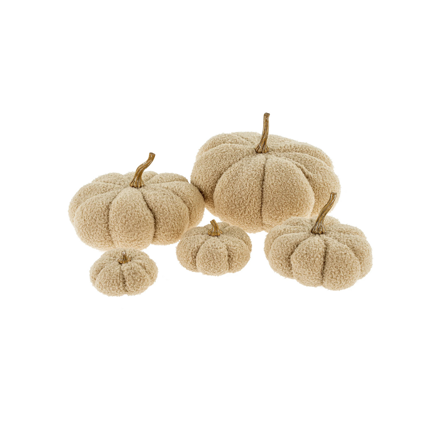 Boucle Pumpkin