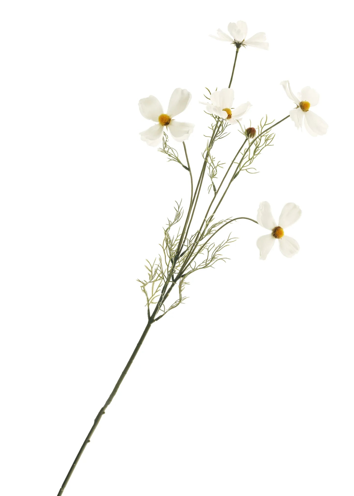 Faux Bush Cosmo Stem