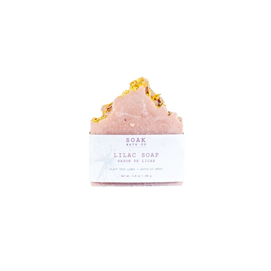 Soap Bar - Lilac