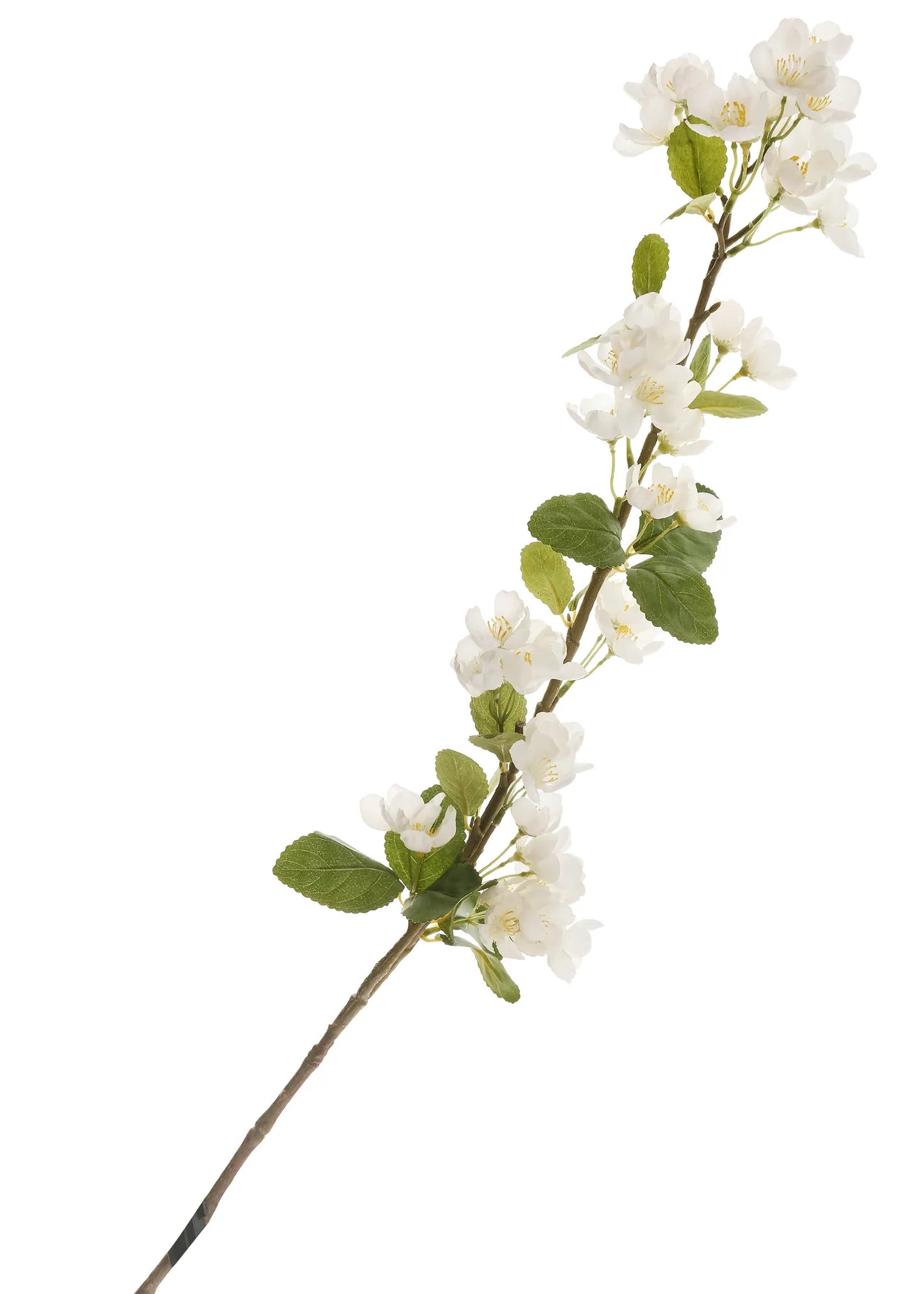 Faux Pear Flower Stem