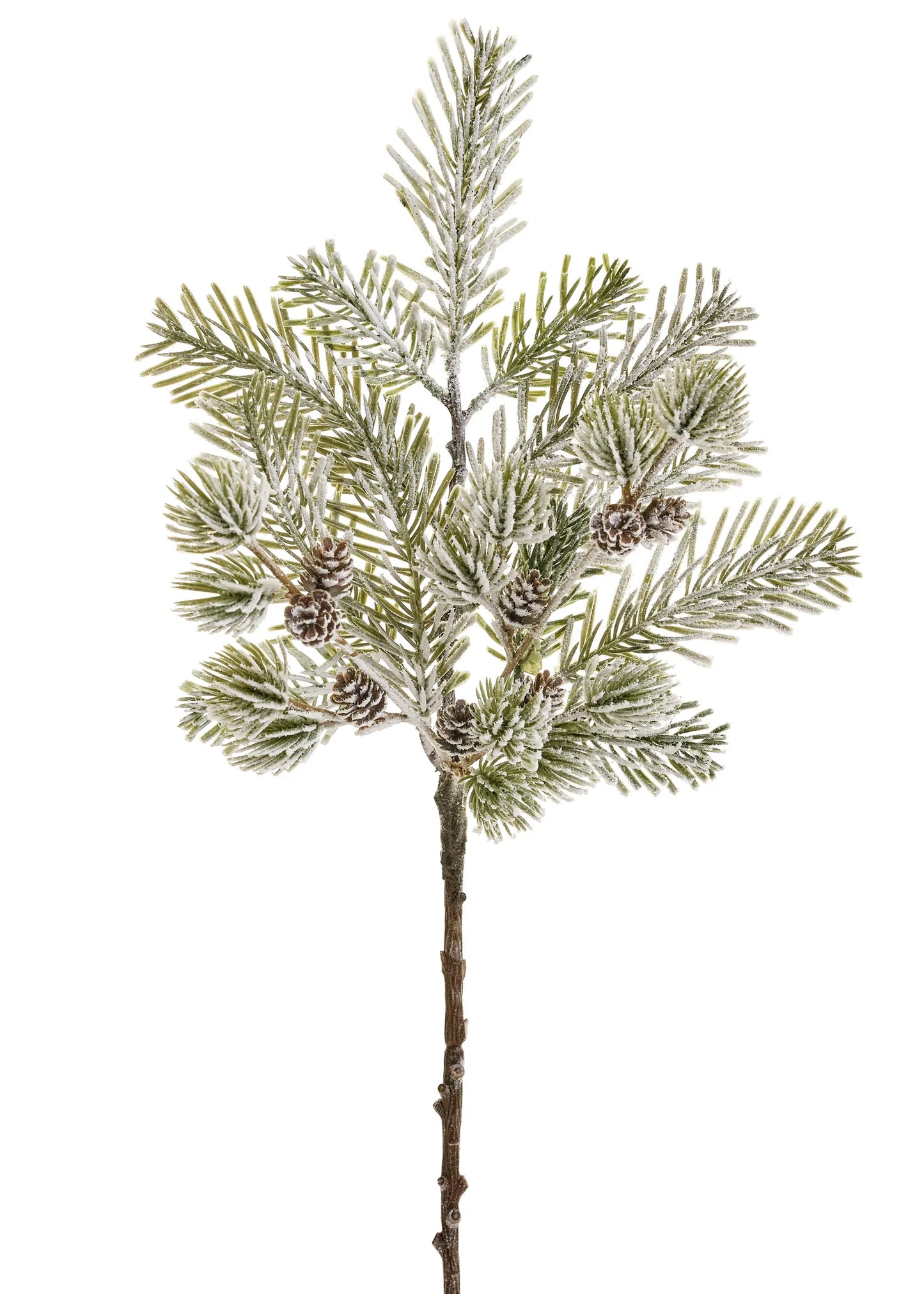 Snowy Branch Pinecone