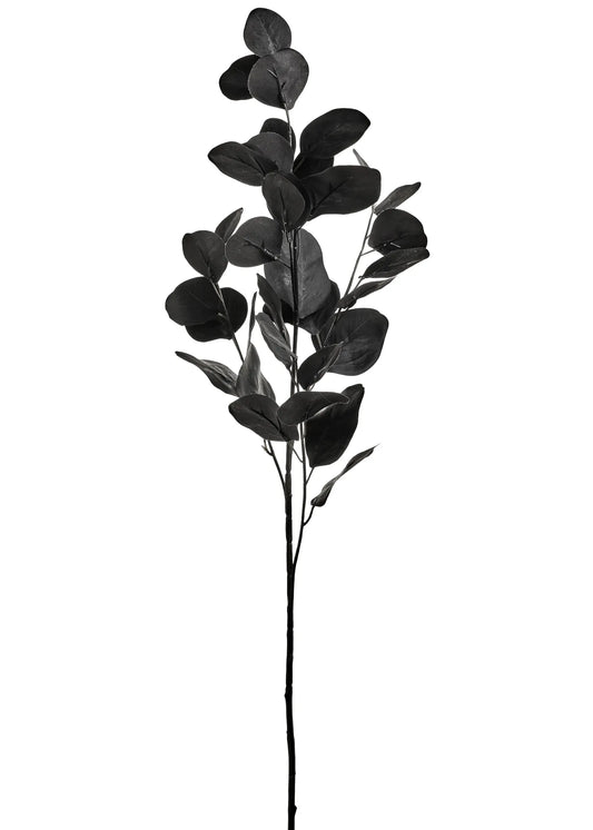Eucalyptus Branch - Black