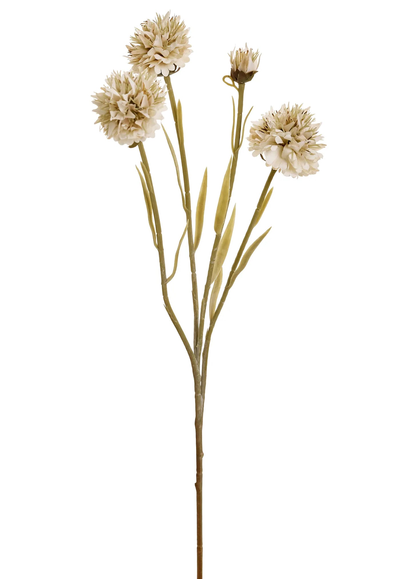 Flower Branch-Cream