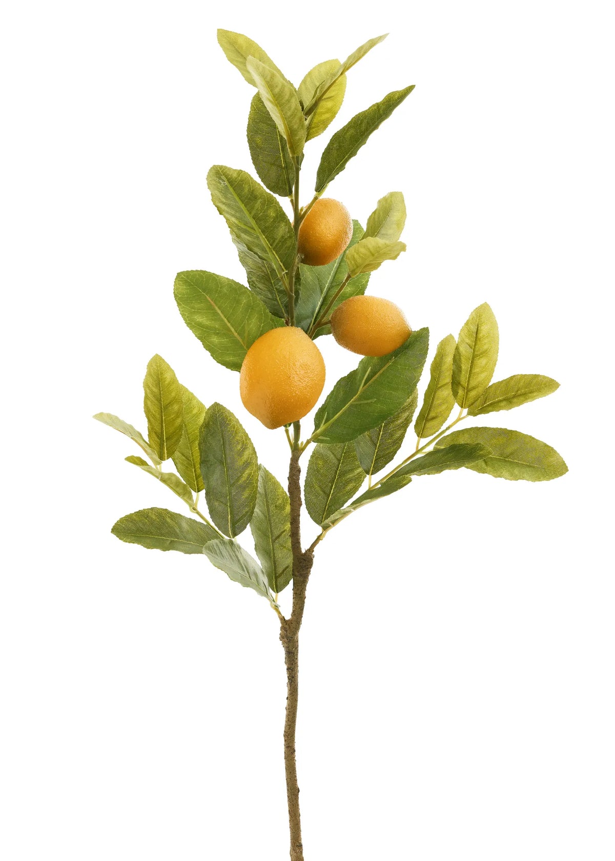 Faux Lemon Stem