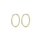 Eanna Recycled Hoops (Large)