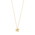 Ajani Necklace
