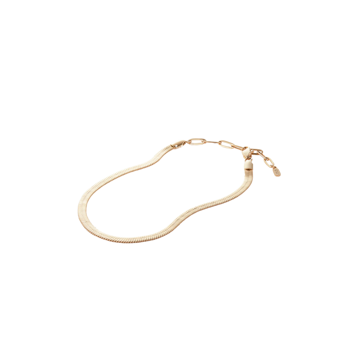 Zeina Anklet