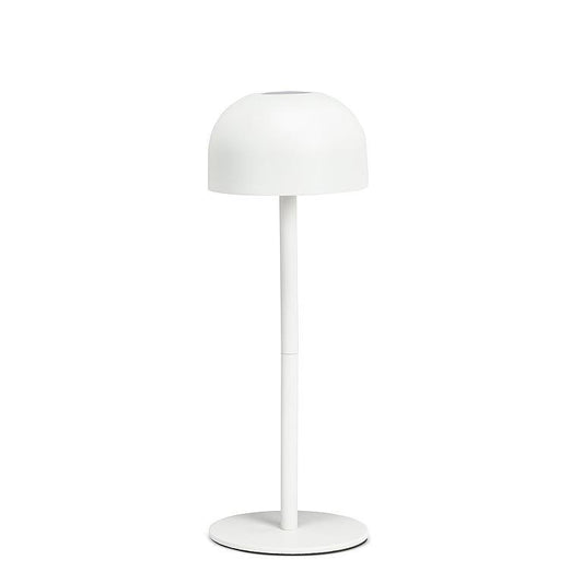 Dome Shade LED Light