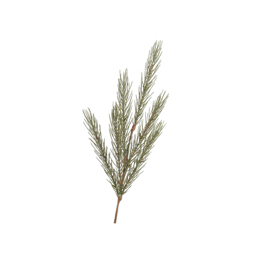 Christmas Spray - Spruce