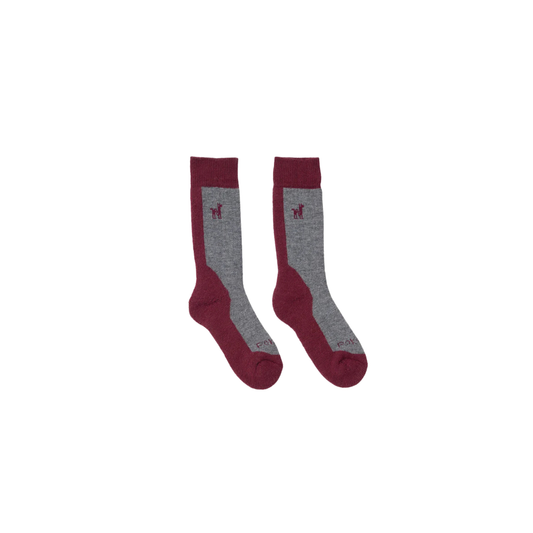 Hiker Socks - Beet