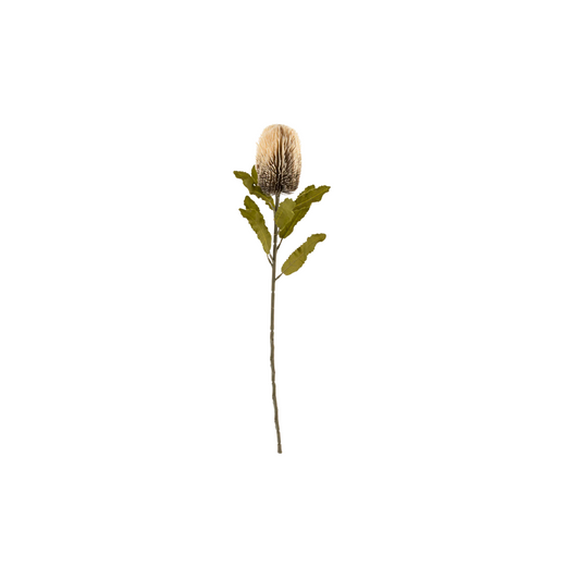 Banksia Floral Stem - Cream