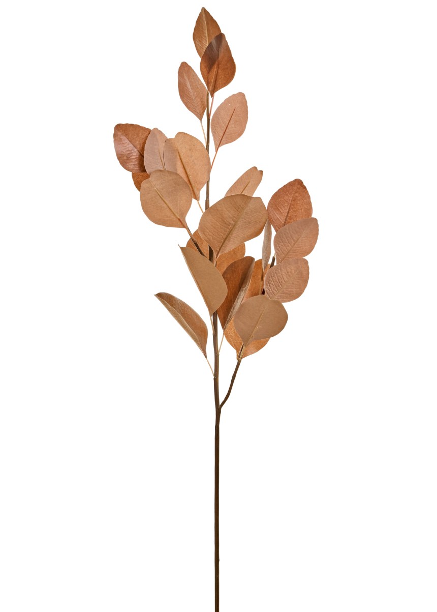 Brown Leaf long Stem